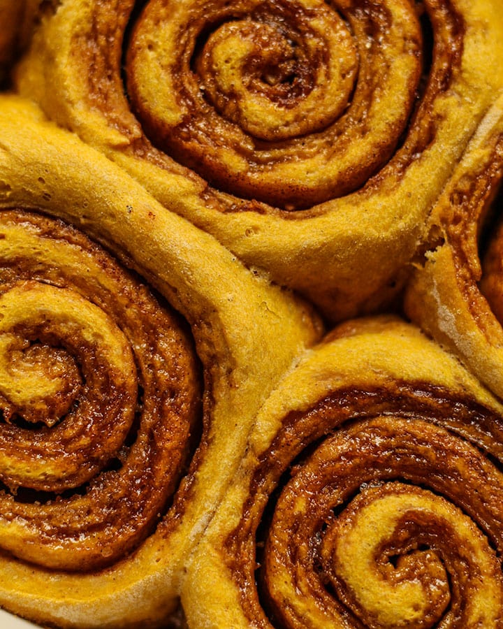 Close up shot of baked pumpkin cinnamon rolls together.