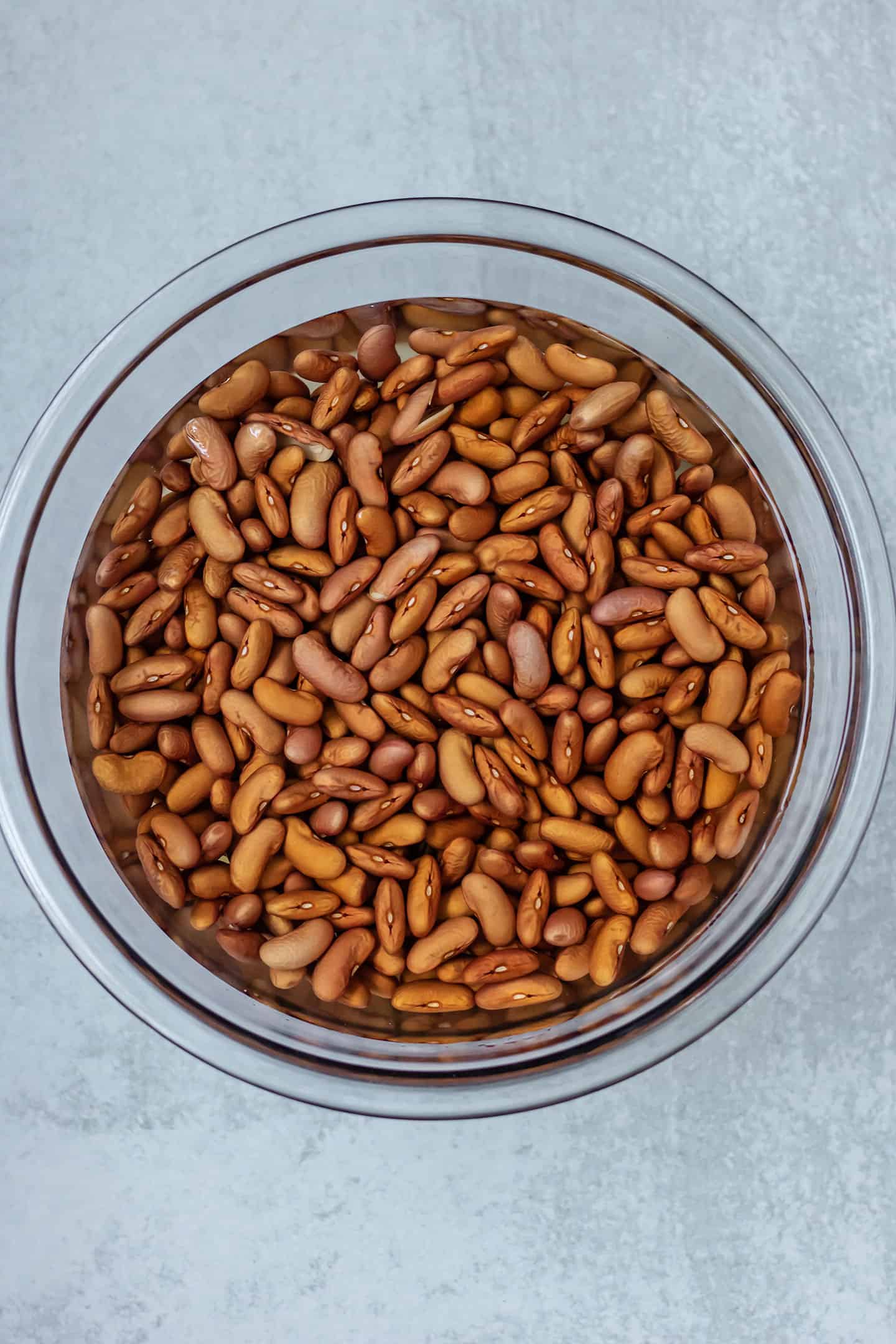 Instant Pot Habichuelas Guisadas Plant Based RD