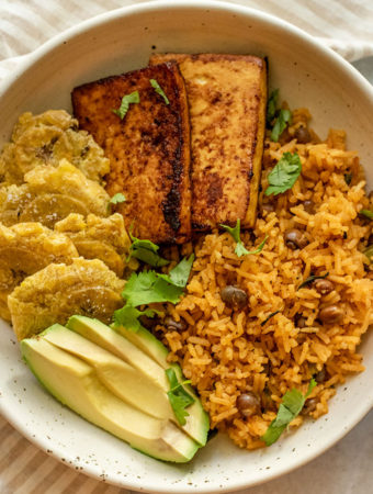 Close up of a bowl of rice, avocado, tofu and tostones.