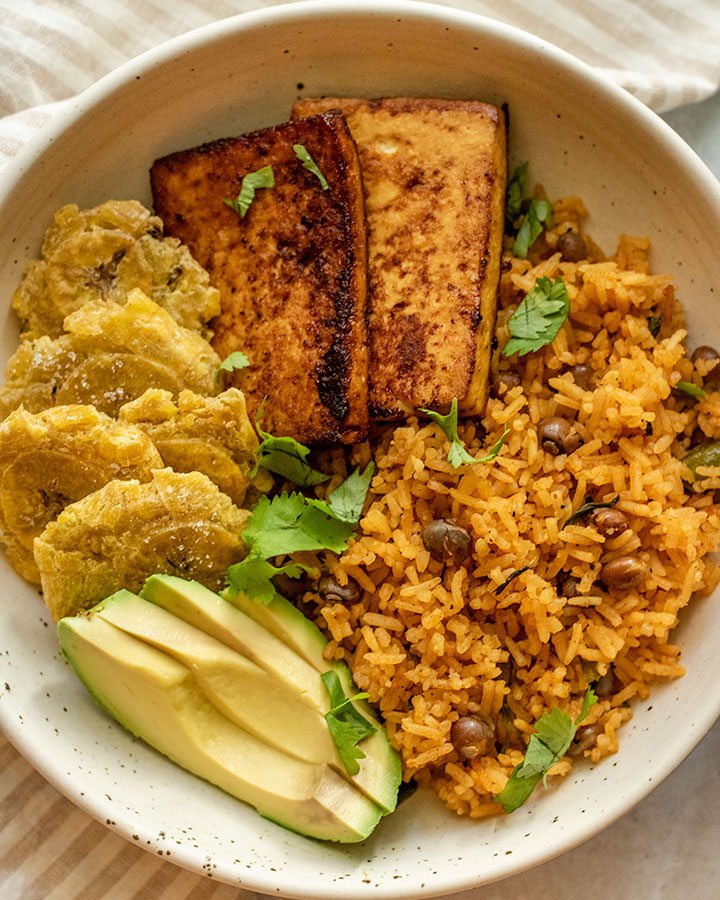 Close up of a bowl of rice, avocado, tofu and tostones.