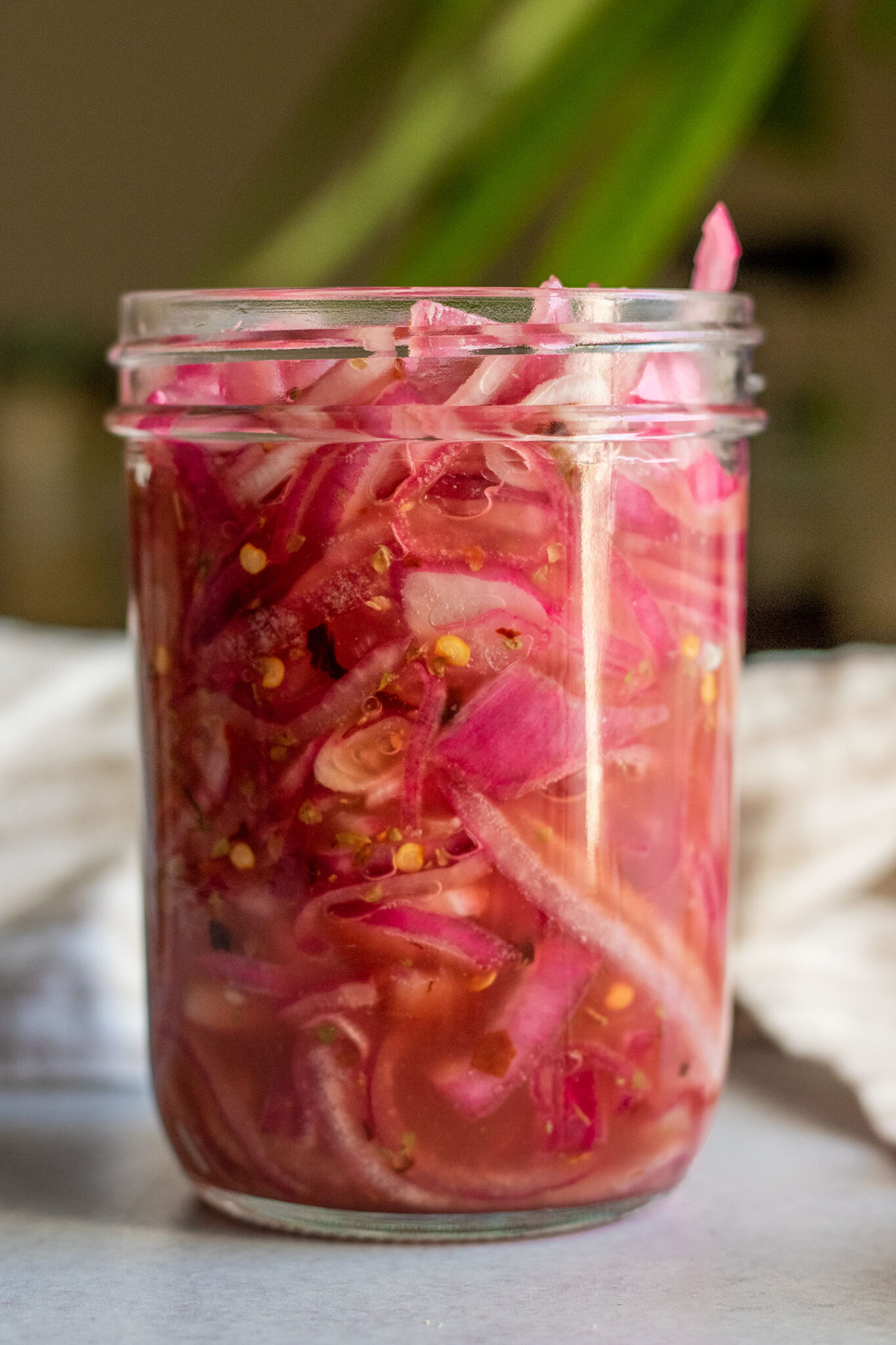 Mexican Pickled Onions - Plant Based RD