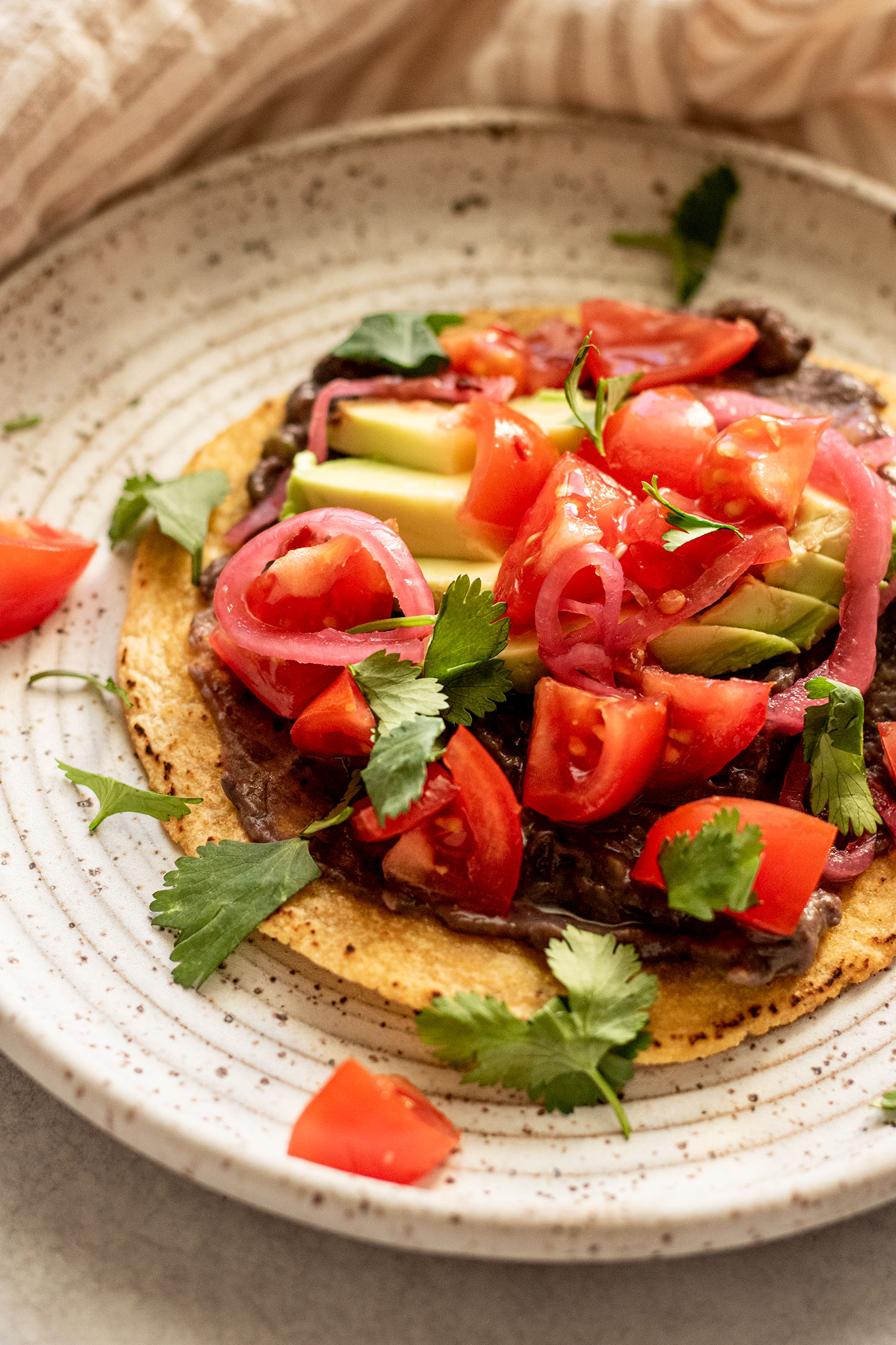 Side view of a refried bean covered tostada topped with avocado, tomato, cilantro and pickled onions.