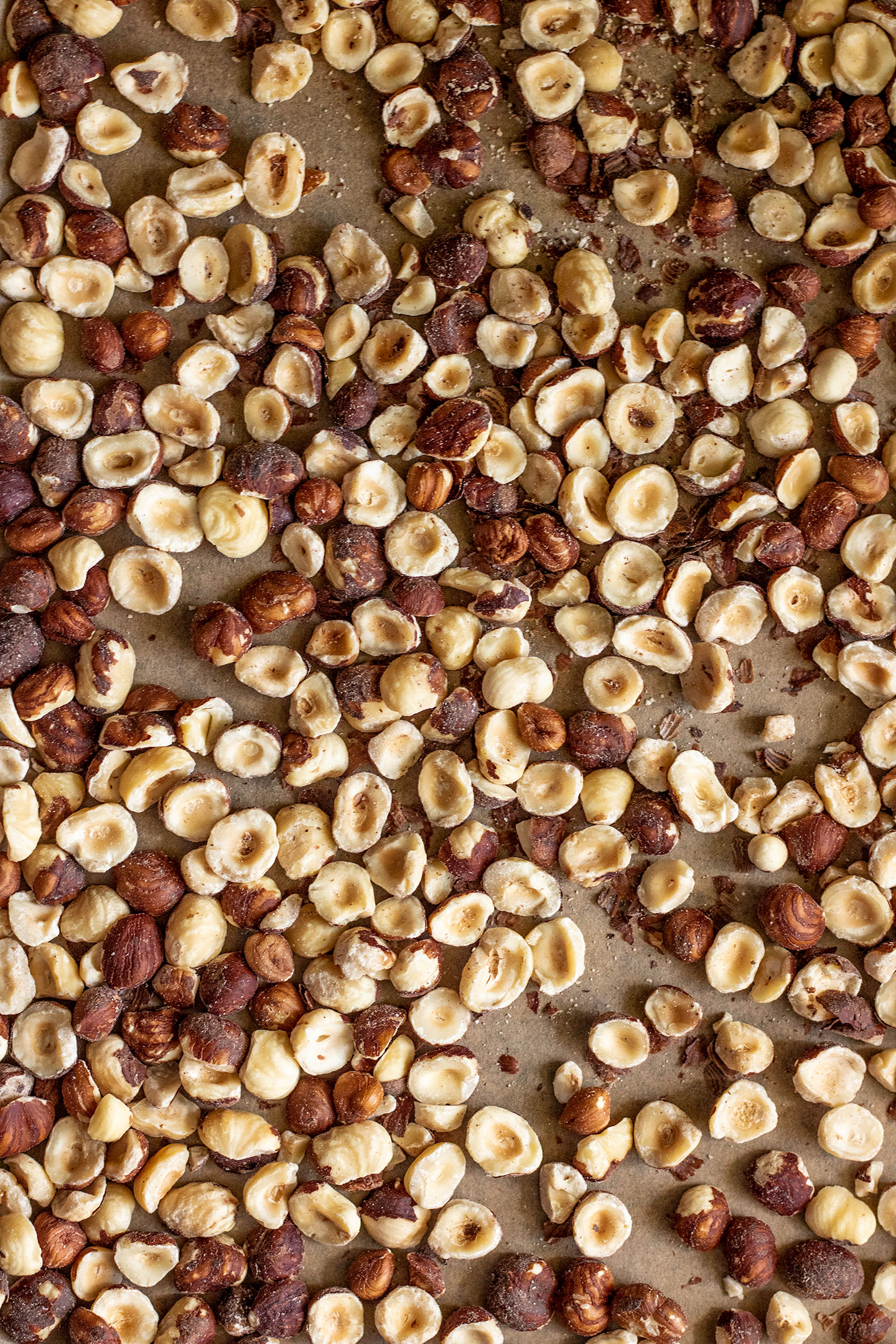 Hazelnuts spread out on a lined baking sheet ready to roast.