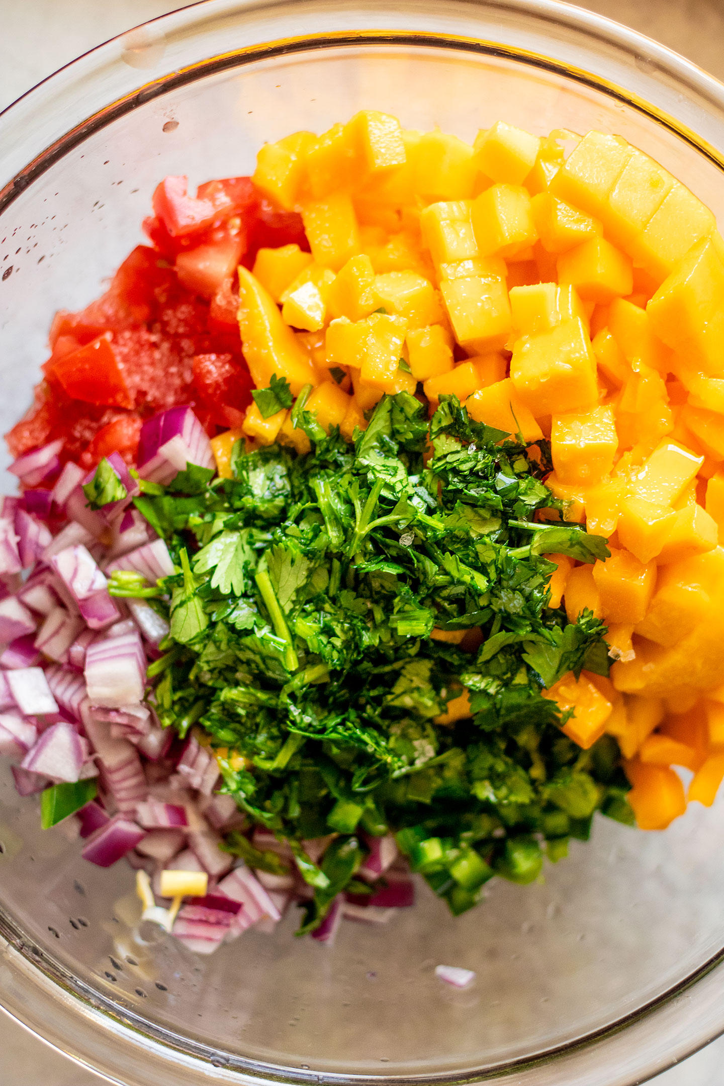 Mixing bowl filled with mango, tomatoes, onions, cilantro and lime juice.