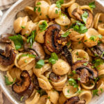 Top down view of a bowl of pasta mixed with a miso cream sauce, mushrooms and parsley.