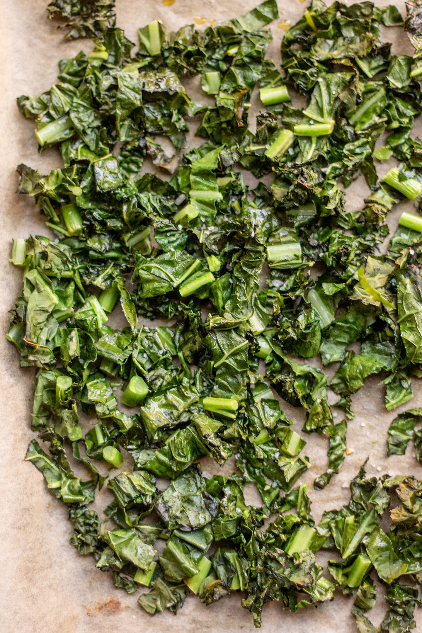 Roughly chopped kale on a baking tray.