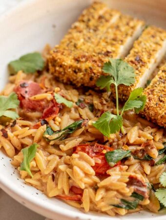 Close up of creamy tomato orzo served with some crispy tofu on top.