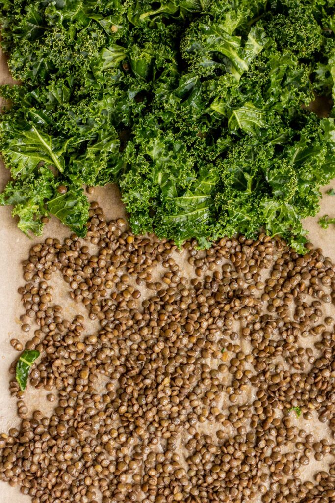 Lentils and kale spread out on a baking tray coated in oil and garlic powder.