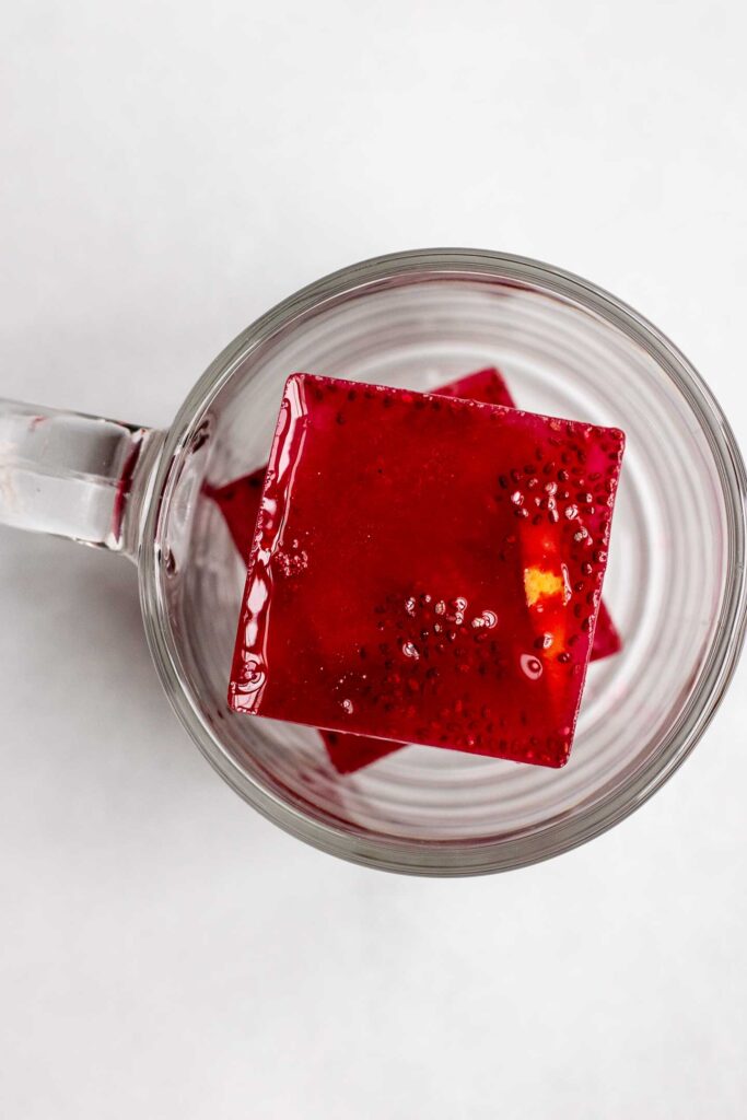 Hibiscus Chia Seed Ice Cubes in an empty glass mug.