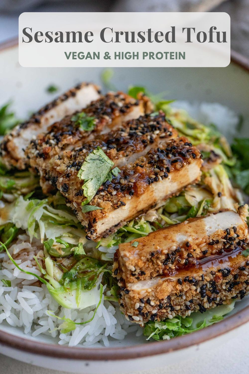 Sesame Crusted Tofu Plant Based Rd