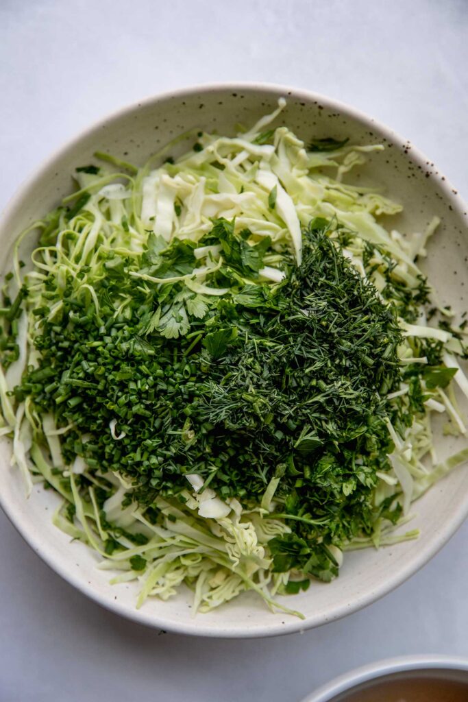 Bowl of shredded cabbage and herbs.