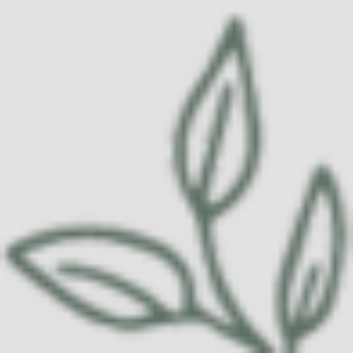 Site Icon