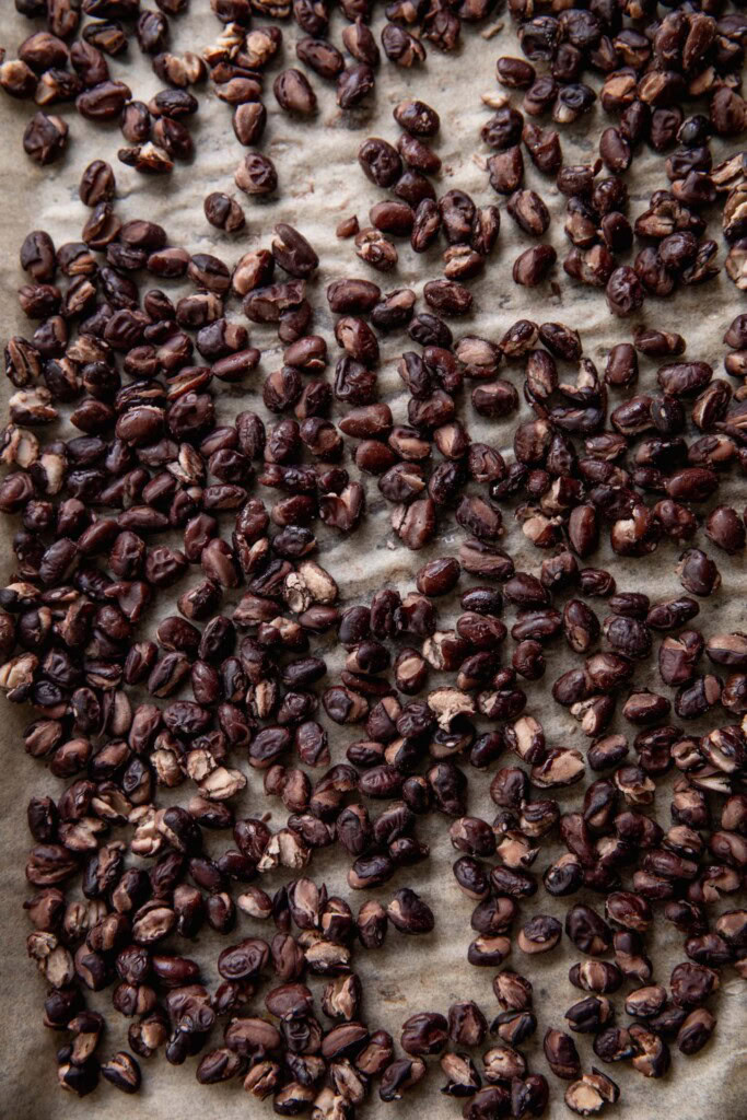 Dried black beans on a baking tray.