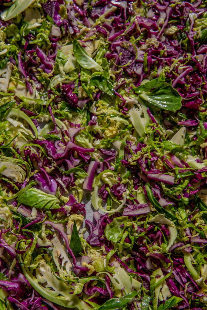 Seasoned and mixed shredded brussels sprouts and cabbage spread out on a baking tray.